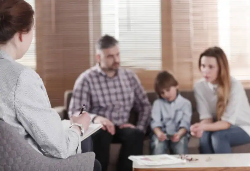 Child Custody and Relocation in International Family Disputes Newton Abbot